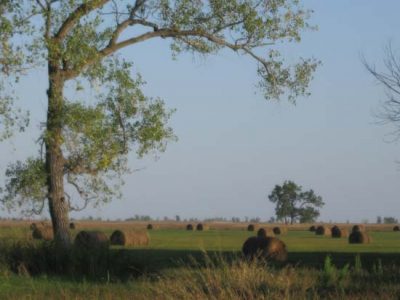 Fall in the Sandhills Image